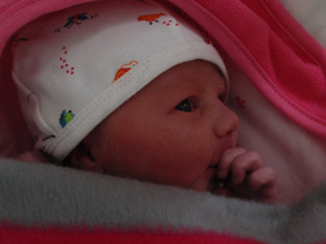 Mijn eerste Dame-foto